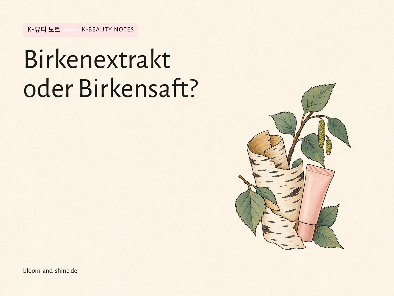 Birch extract and birch sap: what’s the difference?