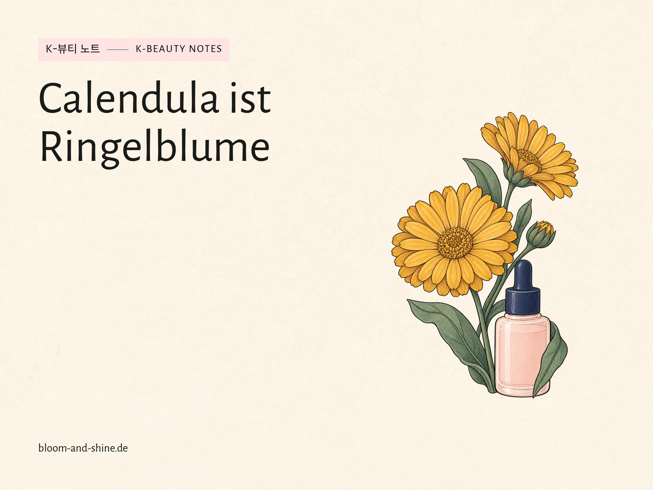 Marigold: What does Calendula mean in your care?
