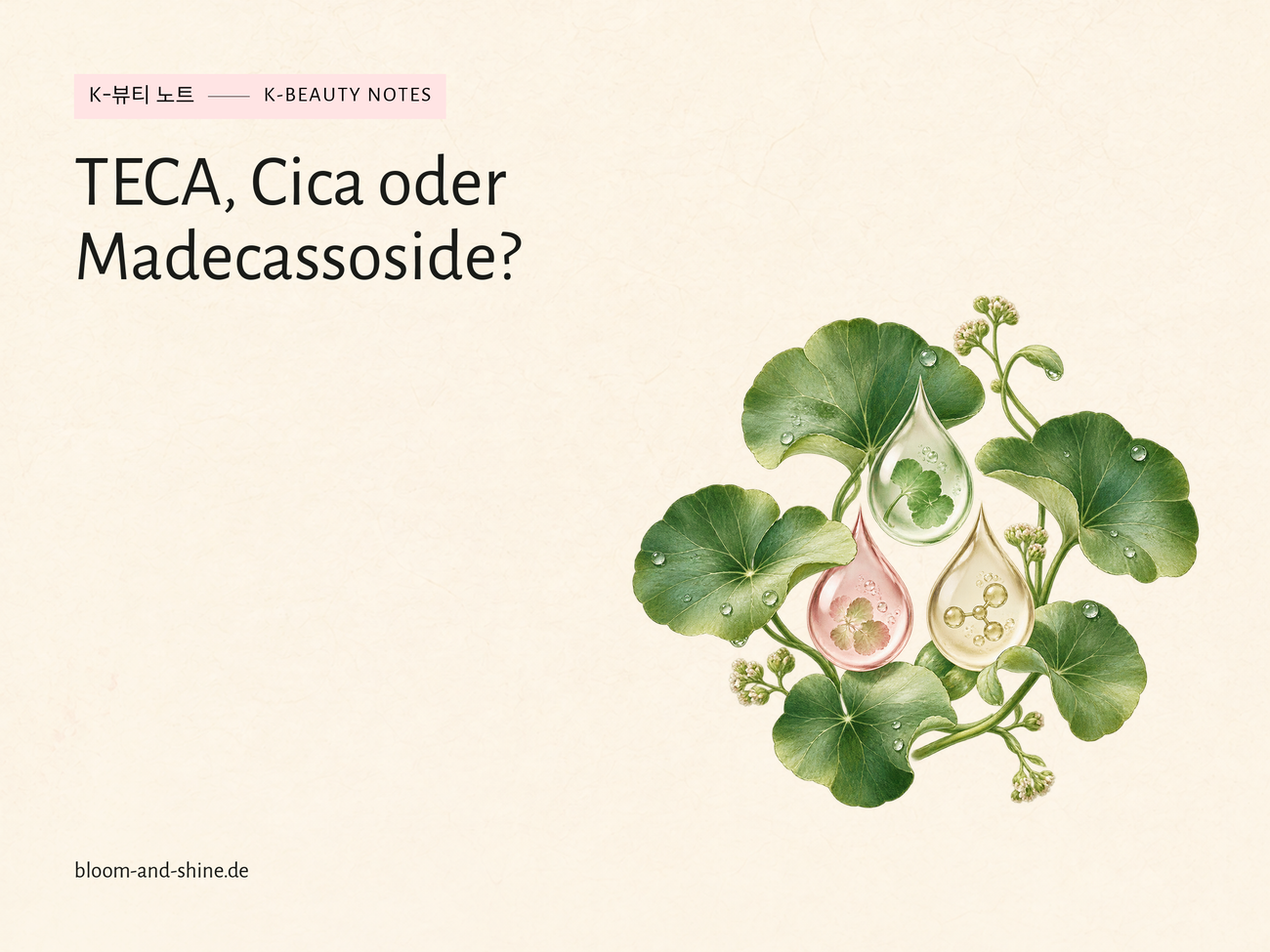 TECA, Cica and Madecassoside: What’s the difference?