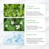 Dr. Althea Green Tea Fresh Sunscreen
