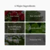 Dr. Althea Oasis Soothing Mask