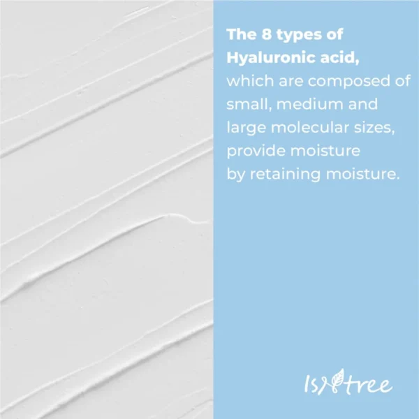 Isntree Hyaloronic Acid low-PH Cleansing Foam