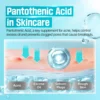 Numbuzin No.1 Pantothenic B5 Active Soothing Serum Numbuzin No.1 Pantothenic B5 Active Soothing Serum