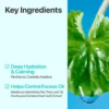 Numbuzin No.1 Centella Re-Leaf Green Toner Pads Numbuzin No.1 Centella Re-Leaf Green Toner Pads