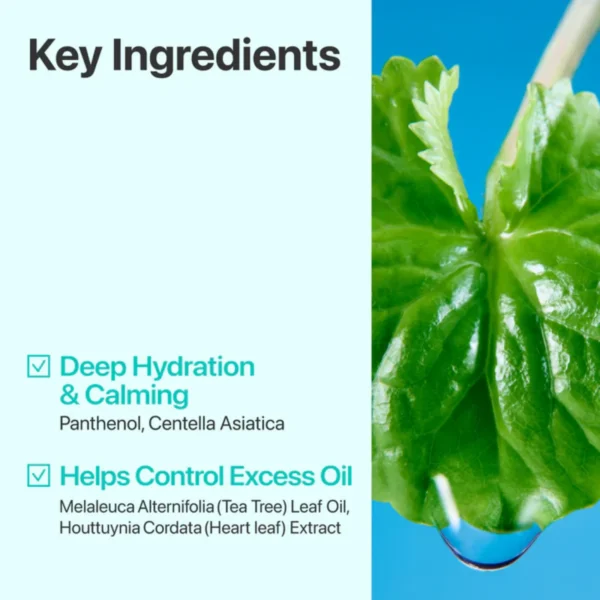 Numbuzin No.1 Centella Re-Leaf Green Toner Pads Numbuzin No.1 Centella Re-Leaf Green Toner Pads