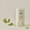 Beauty of Joseon Matte Sun Stick Mugwort + Camelia (SPF 50+ PA++++)